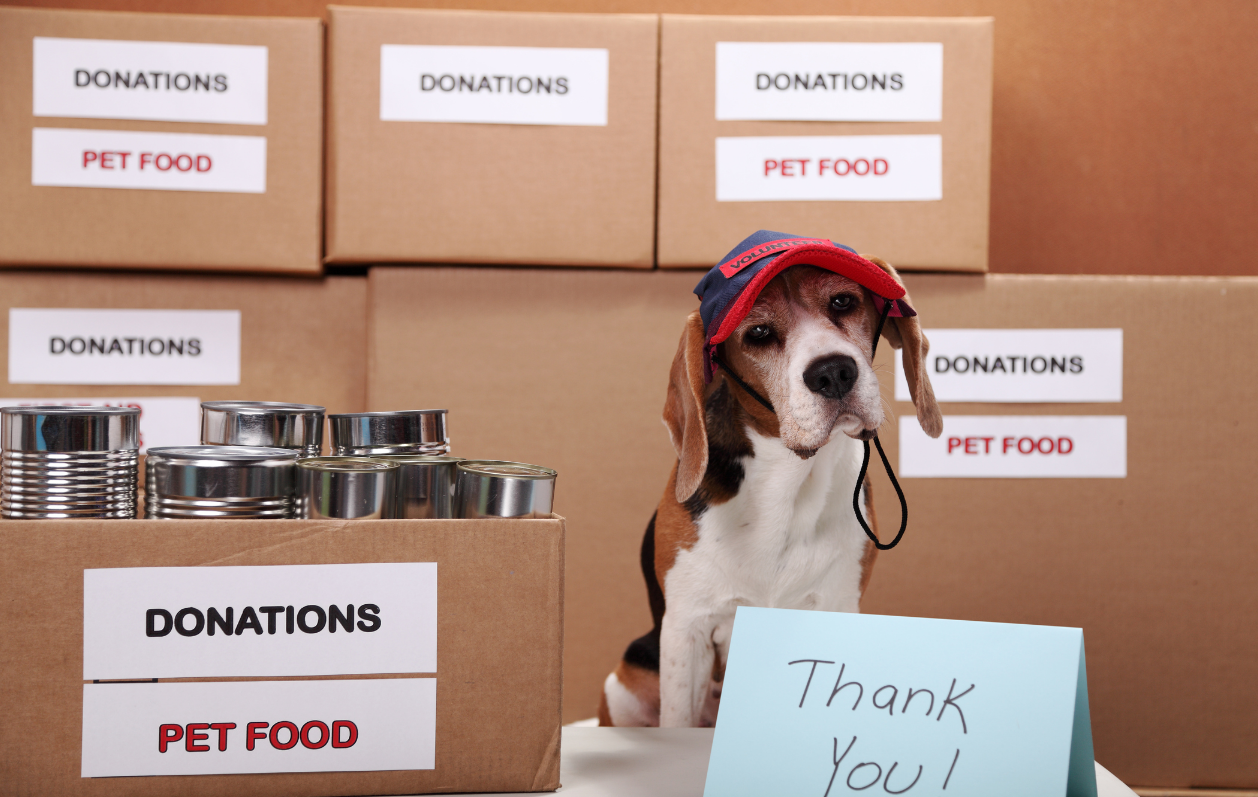 Our Donation Plan