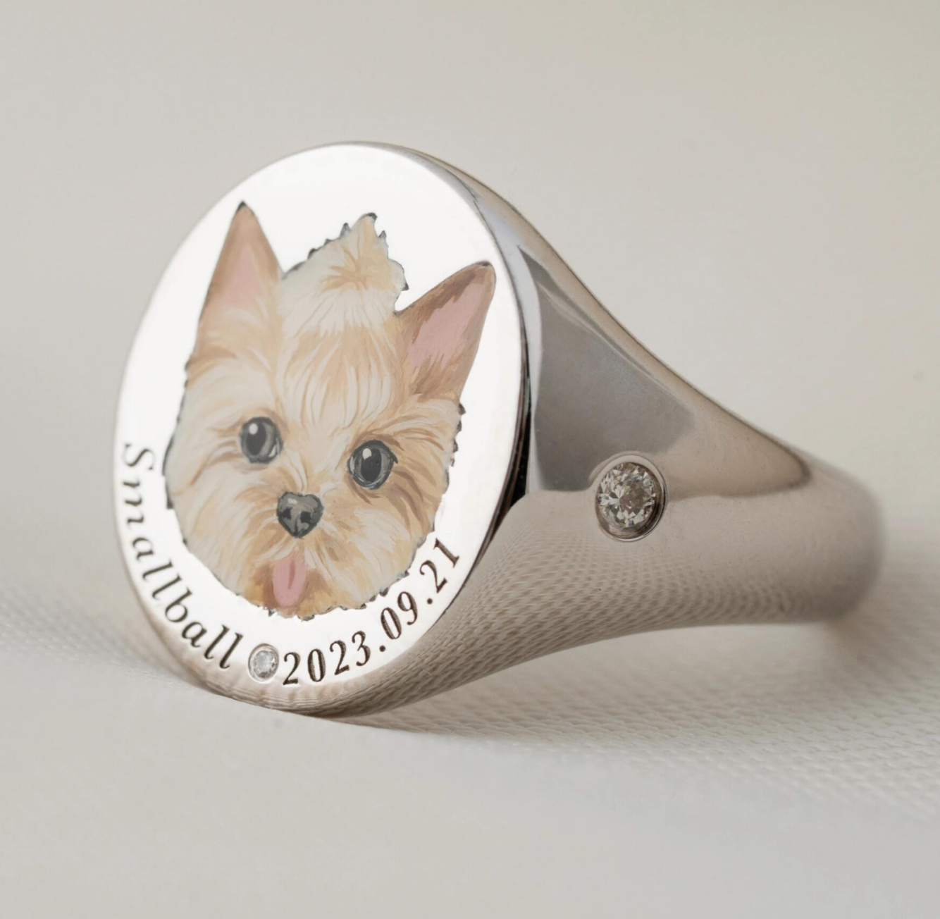 Personalized Pet Memorial Ring, Dogs/Birds Photo Ring, Inspired Enamel Jewelry, Hand Painted Ring, Pet Memorial, Sterling Silver Ring, 14K/18K Jewelry, Special Gift for Her