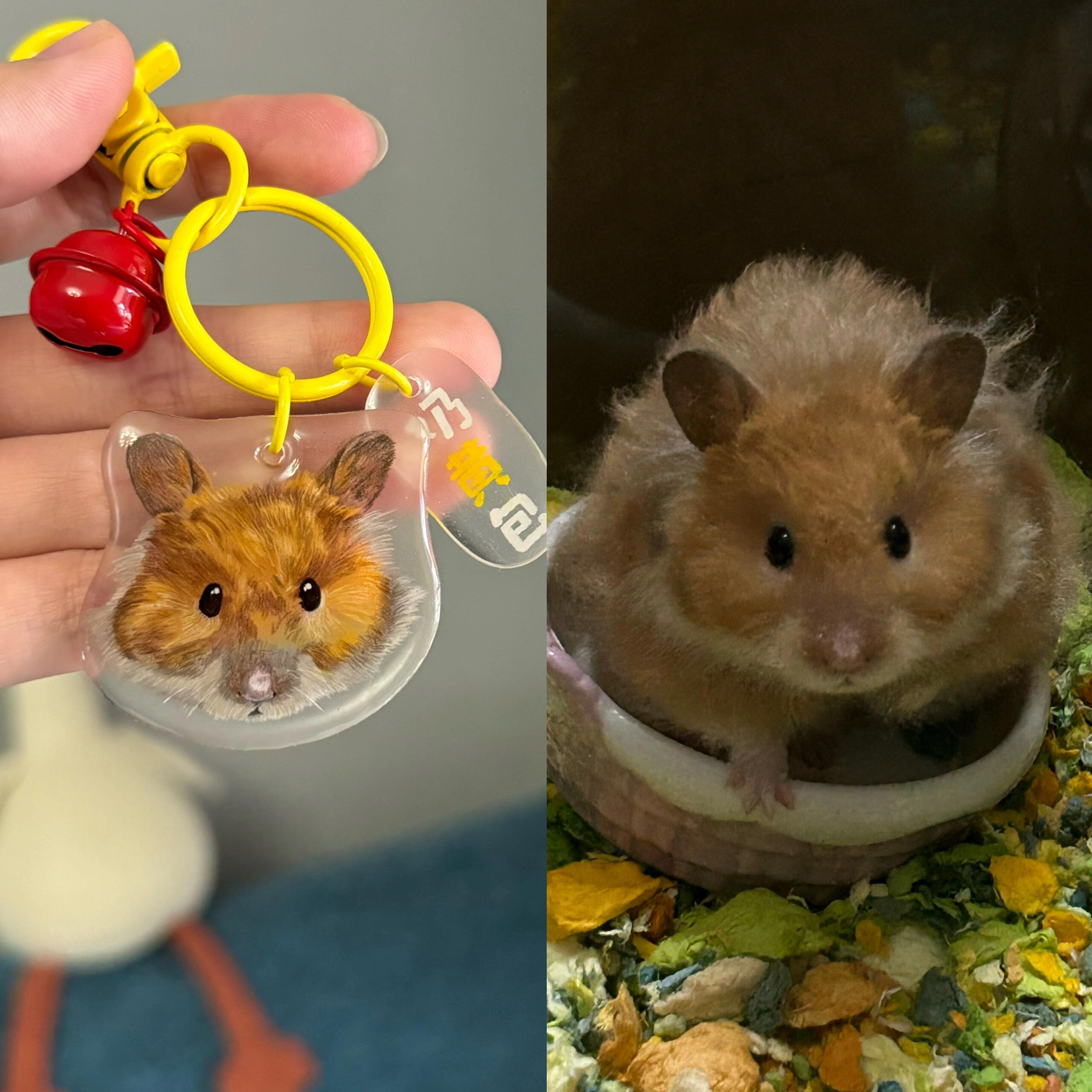 Personalized Pet Portrait Keychain, Custom Pet Photo Keychain, Actual Pet Keyring, Memorial Gift, Pet Lover Gifts, Handmade Gifts