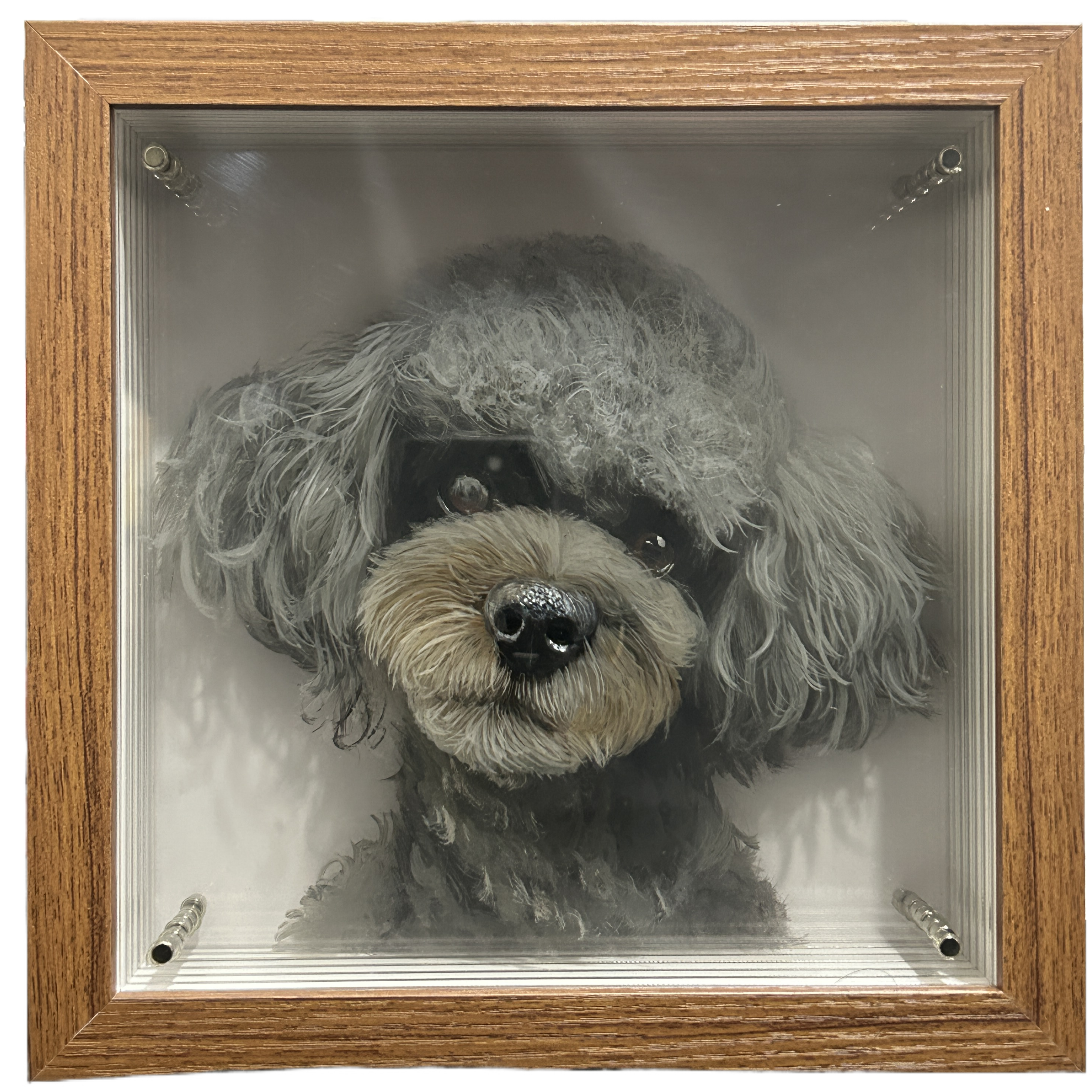 Custom 3D glass painting for pet, Cat/Dog portrait art, Multilayer painting, Pet memorial, Gift, Hand Painted